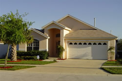 Orange Tree, Clermont, Orlando, Florida, USA