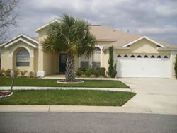 Orange Tree, Clermont, Orlando, Florida, USA