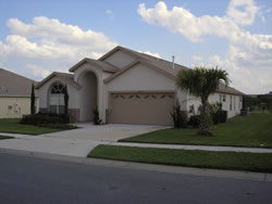 Orange Tree, Clermont, Orlando, Florida, USA