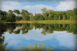 Lake Berkley, Kissimmee, Orlando, Florida, USA