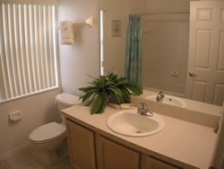 343 Plumosa Loop
