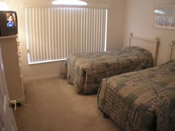 343 Plumosa Loop