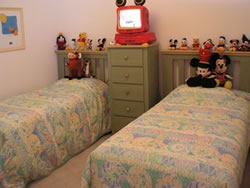 343 Plumosa Loop
